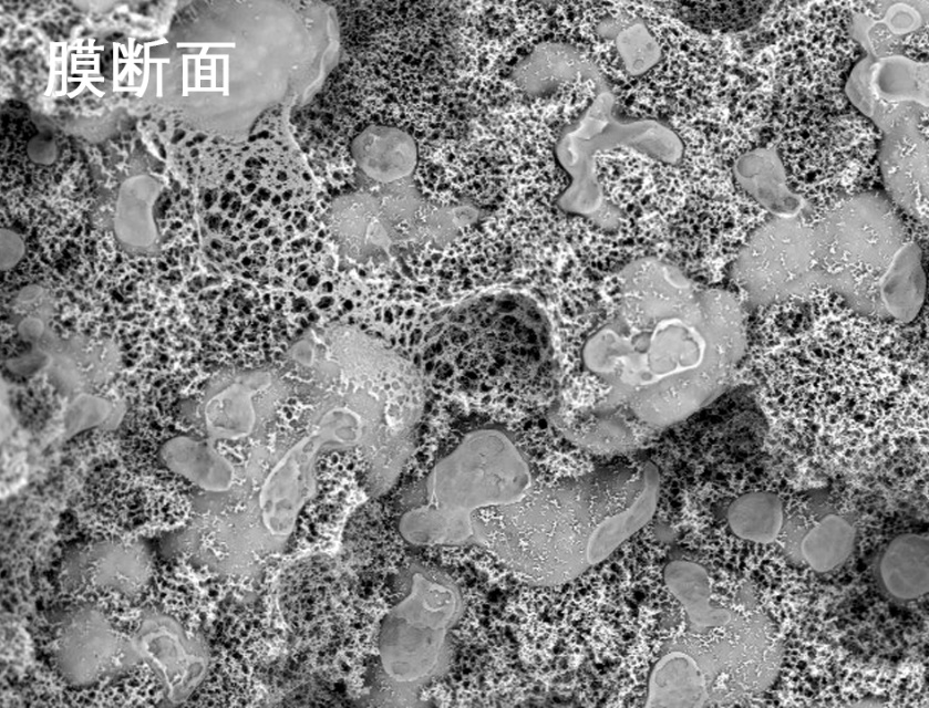 suncitygroup̫�������ս��ʽĤ�羵��Ƭ