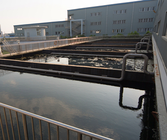 suncitygroup̫������(�й�)-�ٷ���վ