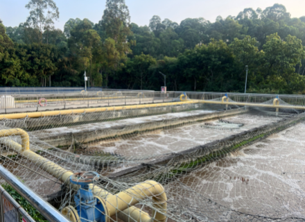 suncitygroup̫������(�й�)-�ٷ���վ