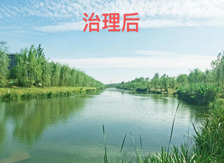 suncitygroup̫������(�й�)-�ٷ���վ