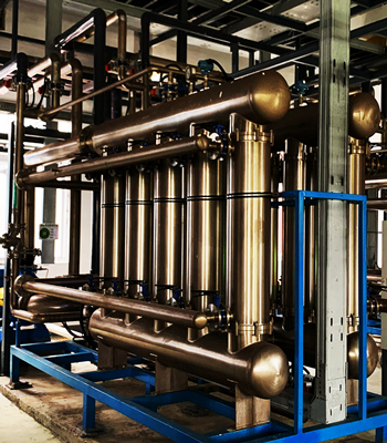 suncitygroup̫������(�й�)-�ٷ���վ