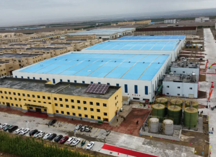 suncitygroup̫������(�й�)-�ٷ���վ